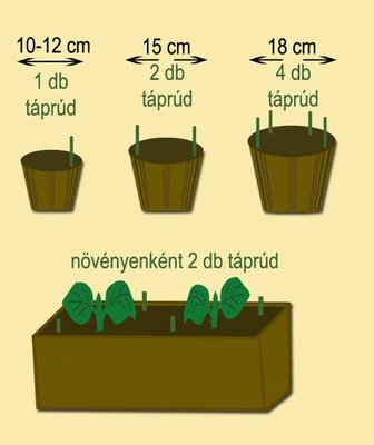 Vitaflóra levéldísznövény táprúd 30db 