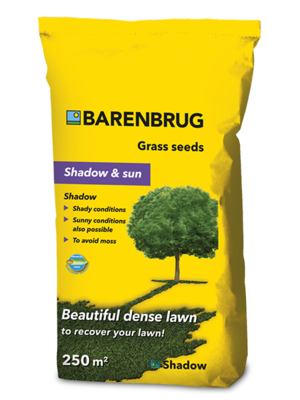 Barenbrug Shadow fűmag (árnyéktűrő) 5 kg