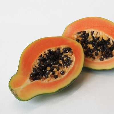 Papaja Carica papaya