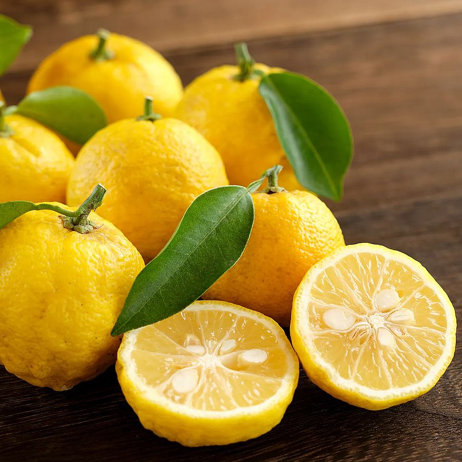 Citrus yuzu Japán cirtom