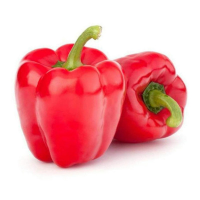 Capsicum annuum 'Spartacus' Paprika 'Spartacus' - Oltott!