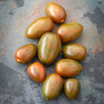 Solanum lycopersicum 'Cookie' Paradicsom 'Cookie'