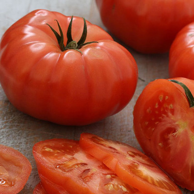 Solanum lycopersicum 'Supersteak' Paradicsom 'Supersteak'