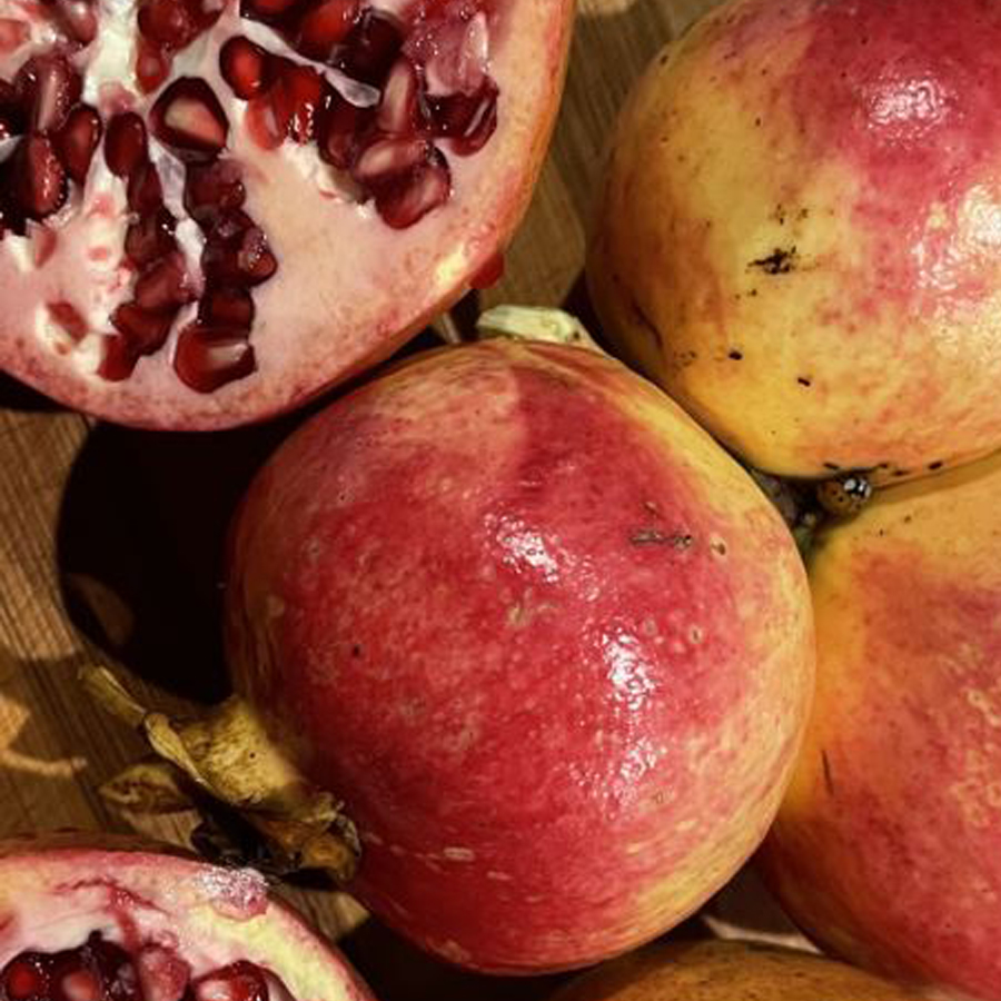 Punica granatum 'Taisia' &Uuml;zb&eacute;g gr&aacute;n&aacute;talma 'Taisia'