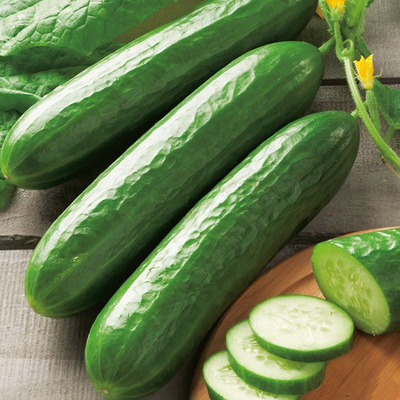 Cucumis 'Midios F1' Kígyóuborka 'Midios F1' Oltott
