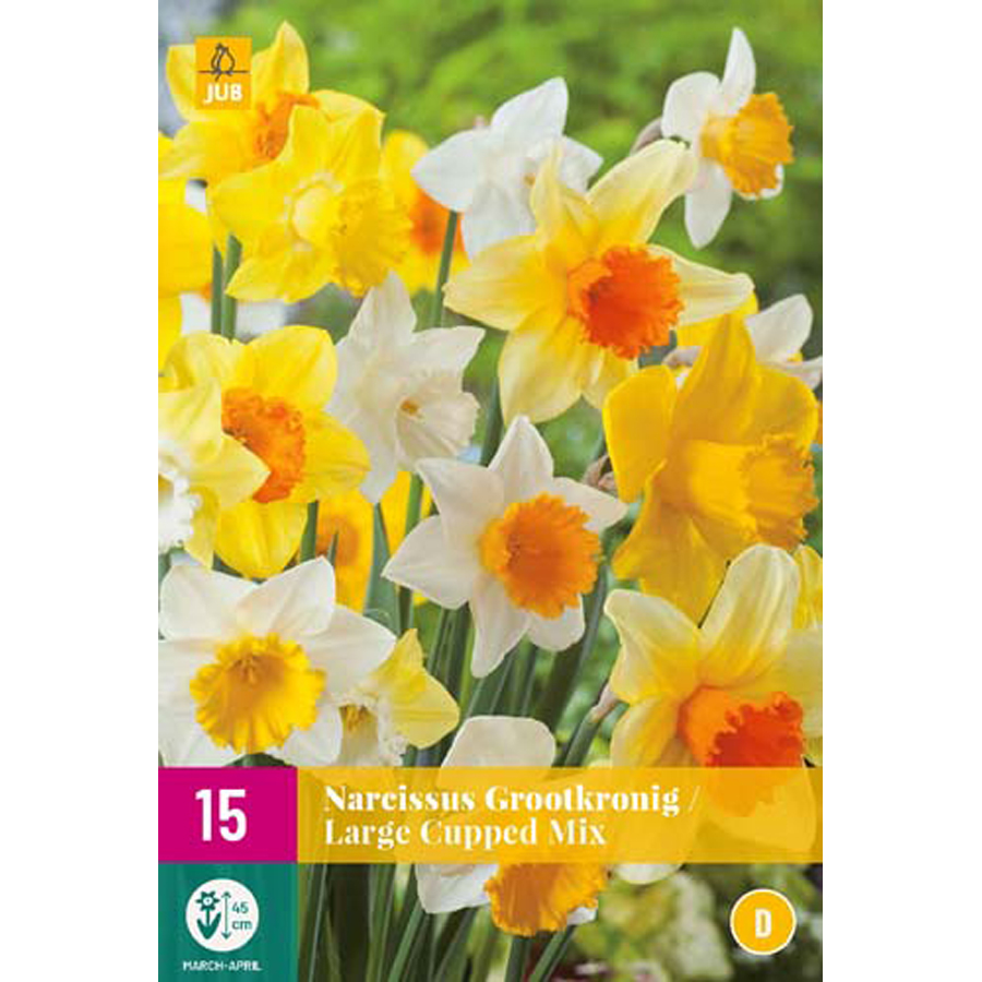 Nárcisz 'Large Cupped' mix Narcissus 'Large Cupped' mix (15 db/cs)
