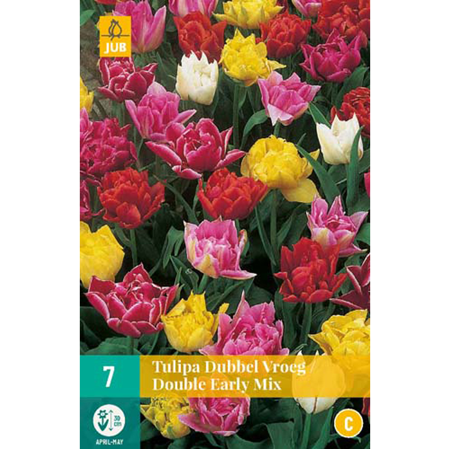 Tulipán 'Double Early' mix Tulipa 'Double Early' mix (7 db/cs)